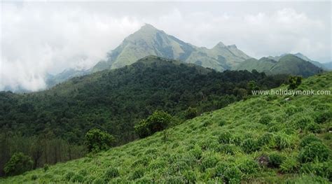 Trekking in Coorg - Homestays & Resorts in Coorg | Coffee Estate