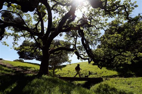 8 Sonoma County Hikes With Spectacular Views | Sonoma Magazine | Sonoma county, Sonoma, State parks