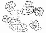 Grapes To Print Coloring Page  Free Printable Pages sketch template