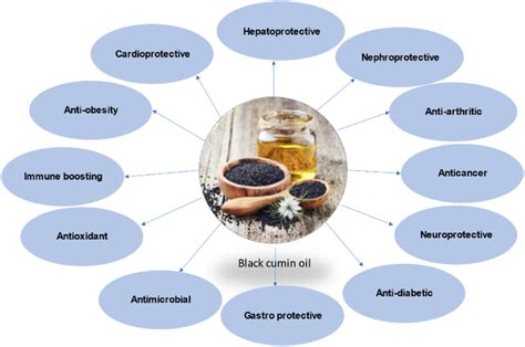 Reported pharmacological effects of Nigella sativa and its oil. | Download Scientific Diagram