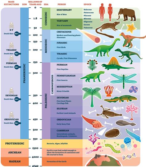 Geologic Time Scale Background