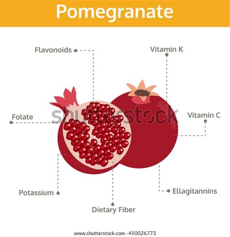 2,522 Pomegranate Benefits Images, Stock Photos, 3D objects, & Vectors ...