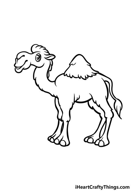 Camel Cartoon Drawing