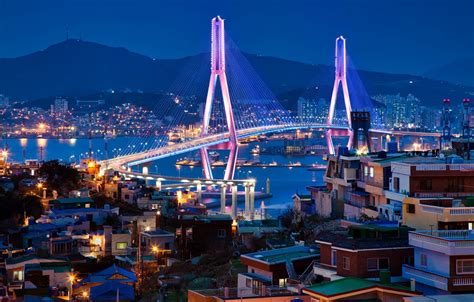 Wallpaper bridge, building, home, Bay, night city, South Korea, South ...