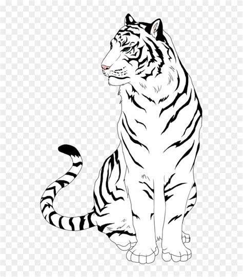 White Tiger Clipart Easy - Draw A Tiger Sitting - Free Transparent PNG ...