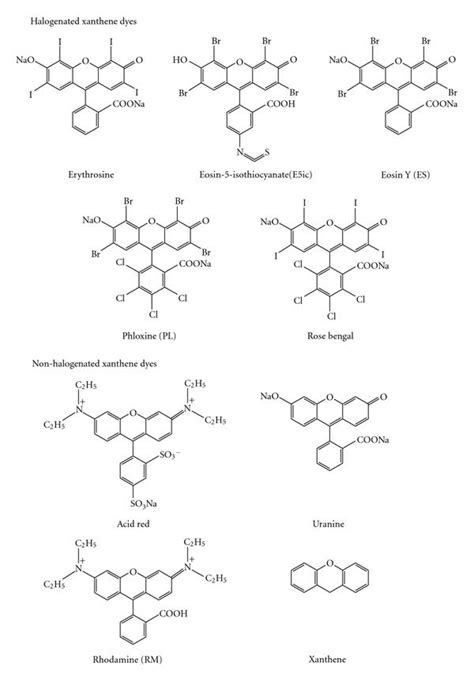 Chemical structure of xanthene food dyes. | Download Scientific Diagram