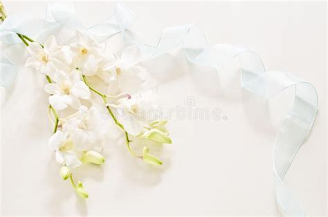 Image of funeral. An image of a funeral in the background white flower ...