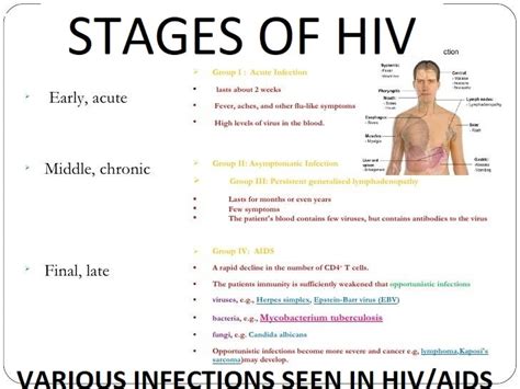 The above image shows various oppertunistic infect