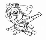 Paw Patrol Skye Coloring Pages sketch template