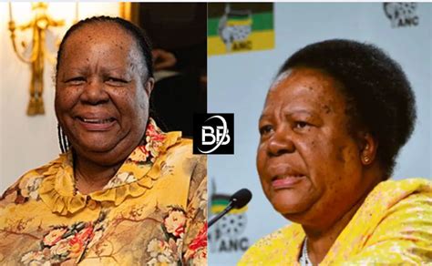 Naledi Pandor Biography: Husband, Education, Daughter, Father | BiographyBaze