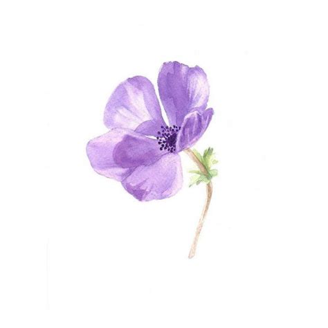 purple flower print, purple flower, Anemone watercolor, minimalist ...