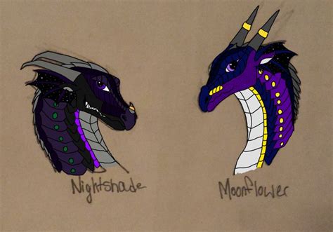 Rainwing Nightwing on WoF-Hybrids - DeviantArt | Wings of fire dragons ...