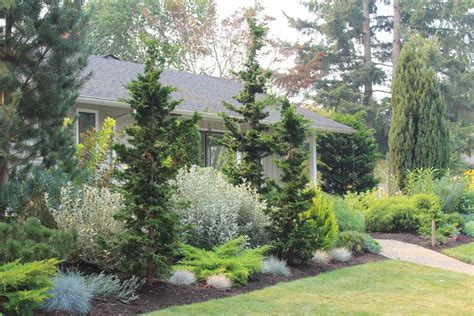 17 Cheap Privacy Landscaping Ideas | Privacy landscaping, Landscape design, Yard landscaping