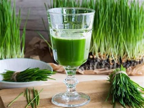 The Health Benefits of Raw Barley Grass Juice Powder