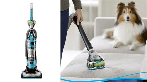 Best Vacuum For Dog Hair 2024 - Vonny Marsiella