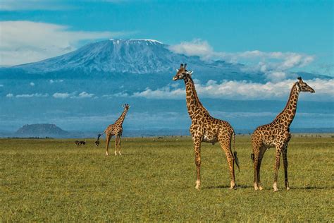 Amboseli National Park | Hide & Seek Luxury Travel