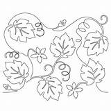 Printable Flower Vine Coloring Page Pages sketch template