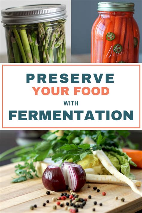 Preserve Your Food with Fermentation - The Wild Gut