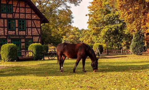 Making Your Horse Farm Eco-Friendly - 🐎 Virginia Horse Farms for Sale