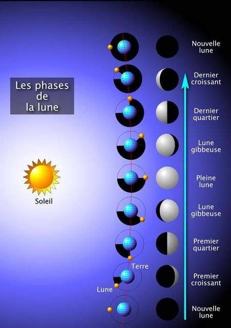 Phases de la lune … | Pinteres…