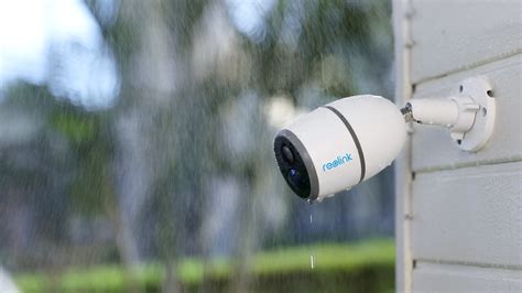 Cameras for Bird Watching: Best Way to See Fluffy Birds at Your Garden 24/7 – Reolink Blog