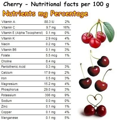 Properties and Benefits of Cherries - NatureWord