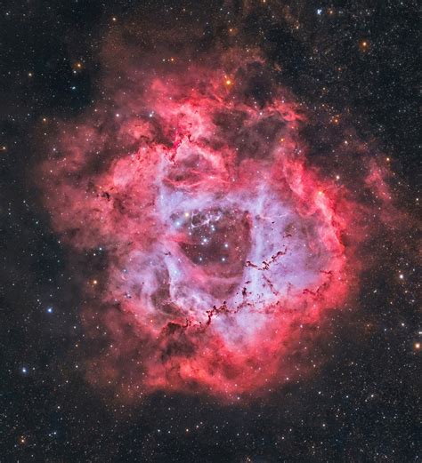 Rosette Nebula Location