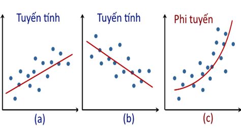 Khám phá với hơn 65 về mô hình tuyến tính với tham số mới nhất - ntbeamng