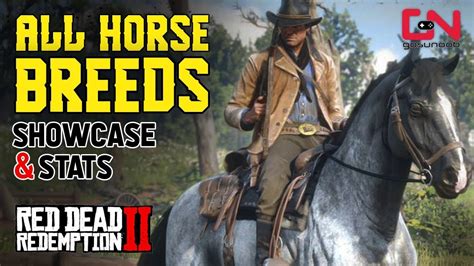 Red Dead Redemption 2 - All Horse Breeds Showcase & Stats - YouTube