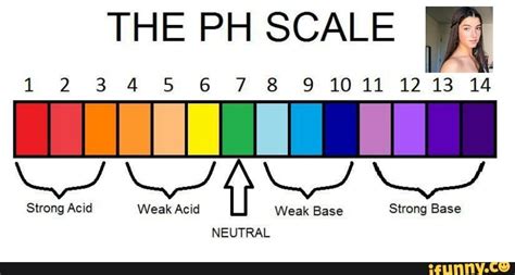 THE PH SCALE vi Strong Acid Weak Acid Weak Base Strong Base - iFunny