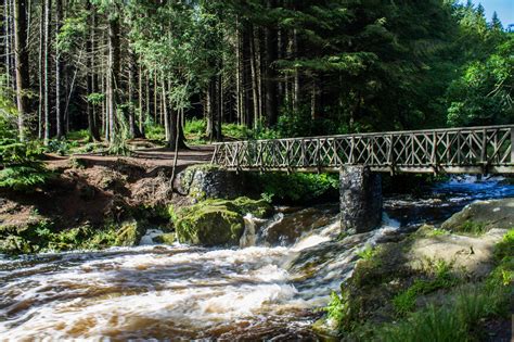 10 Best Hiking Trails In Northern Ireland