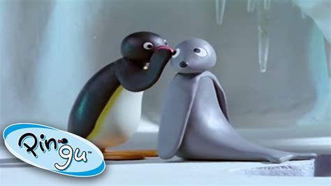 Pingu & Robby Seal On A Fun Adventure! @Pingu - Official Channel - YouTube