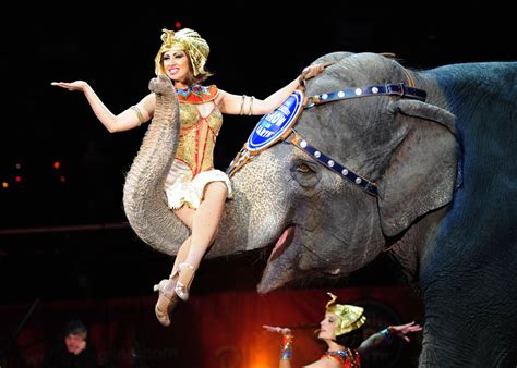 Ringling Bros. circus will close after final May shows | 89.3 KPCC