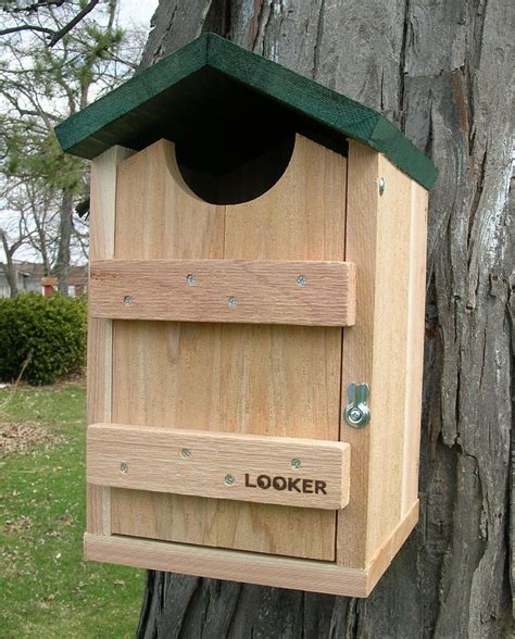 Red Cedar Screech Owl House | Bird house, Bird house kits, Bird house plans