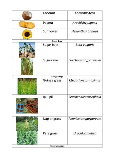 Scientific names