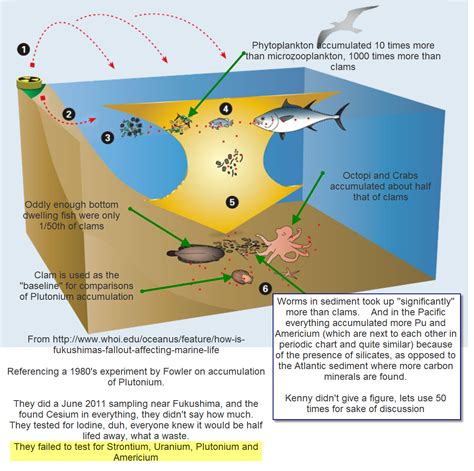 Nuke Pro: Radiation in the Ocean Food Chain, An Assessment of ...