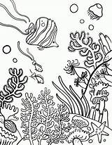 Drawing Underwater Coral Reef Sketch Coloring Page sketch template