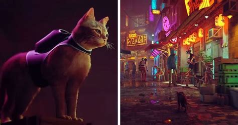 New PS5 Game ‘Stray’ Lets You Be A Cat In A Neon-Lit Cybercity And Solve Mysteries In It | Bored ...