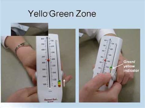 Philips Respironics Peak Flow Meter Chart: A Visual Reference of Charts ...