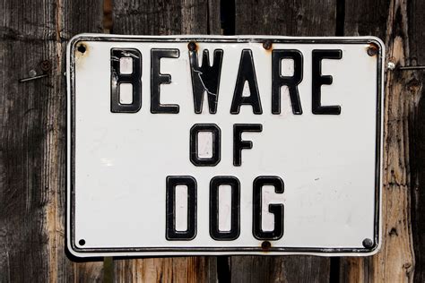 Beware of Dog Sign – Photos Public Domain