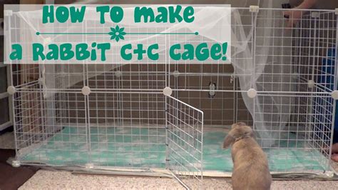 rabbit - animal: Rabbit Habitat Diy