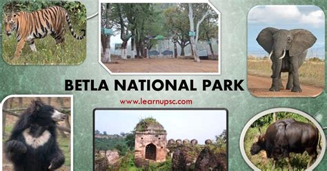 Betla National Park (Palamau National Park) - Learn UPSC