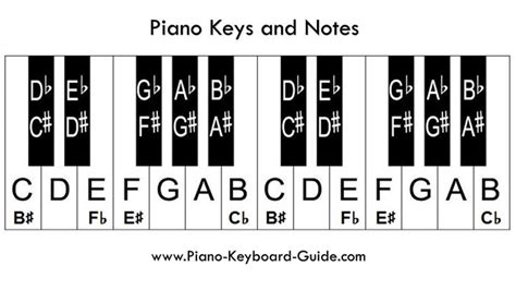 Piano Notes and Keys – How to Label the Piano Keyboard | Beginner piano music, Learn piano notes ...