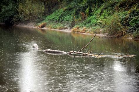 Gloucester in danger from flooding ‘as much as the Somerset Levels’, say businessmen ...