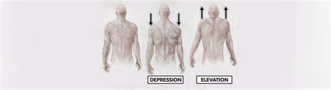 CrossFit | Movement About Joints, Part 1: The Shoulder