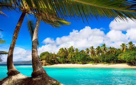 Tropical sea - Beach, palms and sunny Wallpaper Download 5120x3200