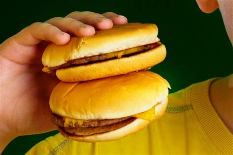 Double Cheeseburger Vs. McDouble | Are These Two Similar Or Different? - TheFoodXP