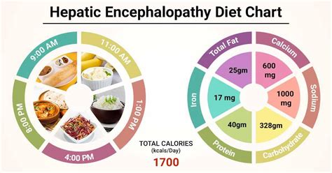 Diet Chart For hepatic encephalopathy Patient, Hepatic Encephalopathy Diet chart | Lybrate.