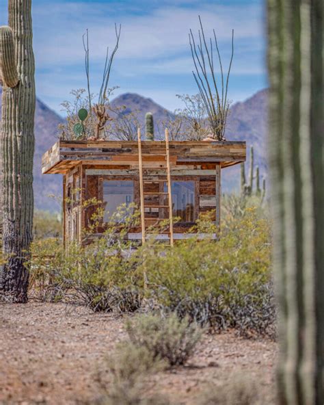 cabinland comes to sunny southwest with salvaged timber 'desert cabin'