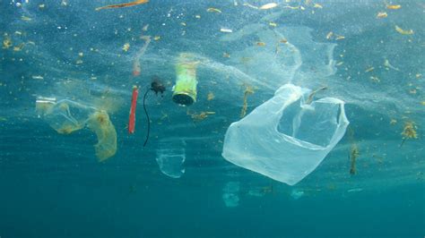 7 easy ways we can all help to clean up our oceans - Sealogical